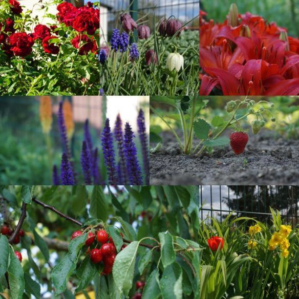 Gartenblick 特雷宾 外观 照片