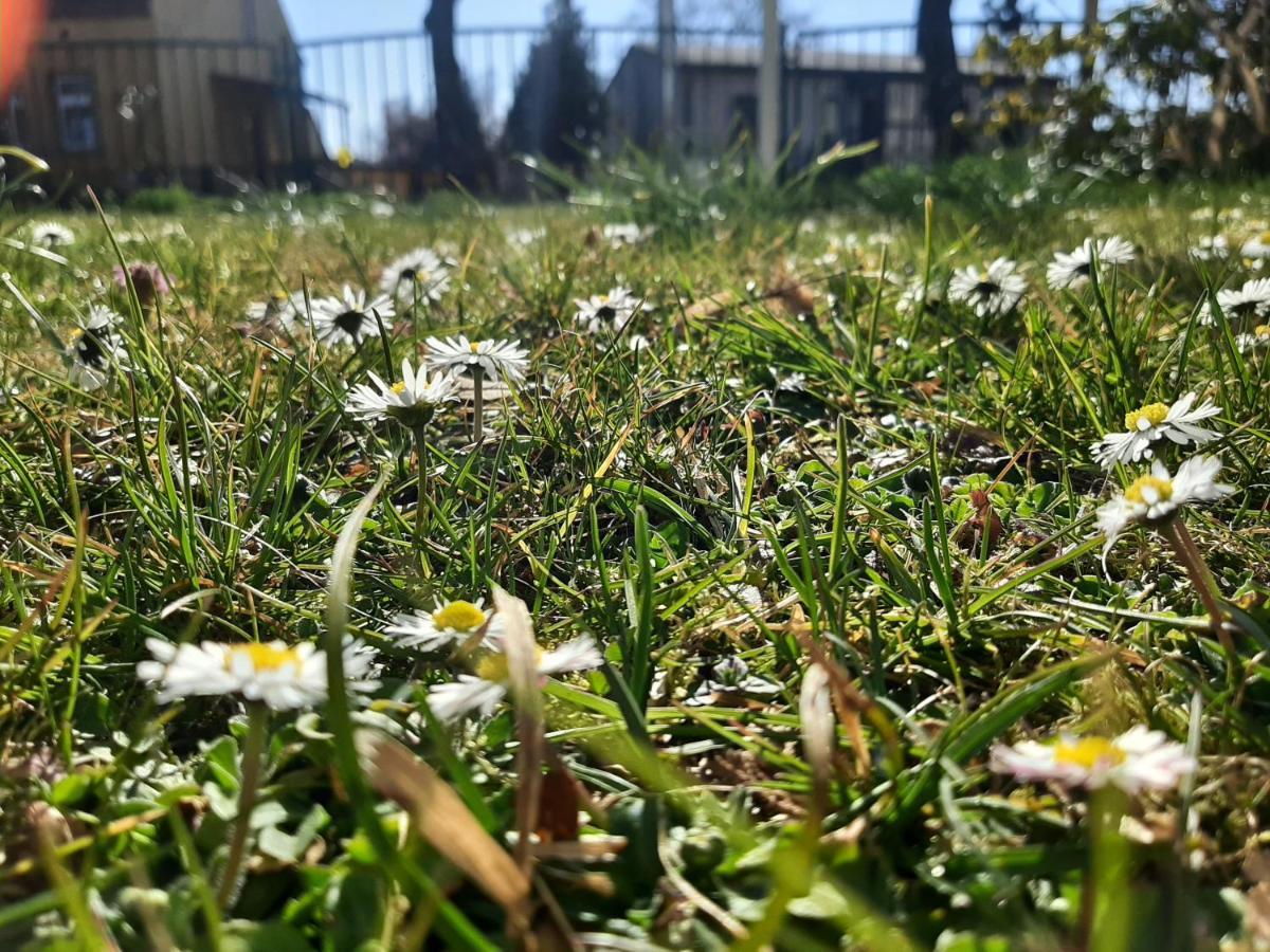 Gartenblick 特雷宾 外观 照片