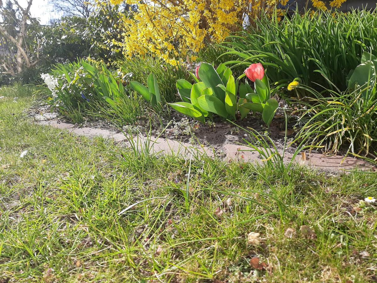 Gartenblick 特雷宾 外观 照片