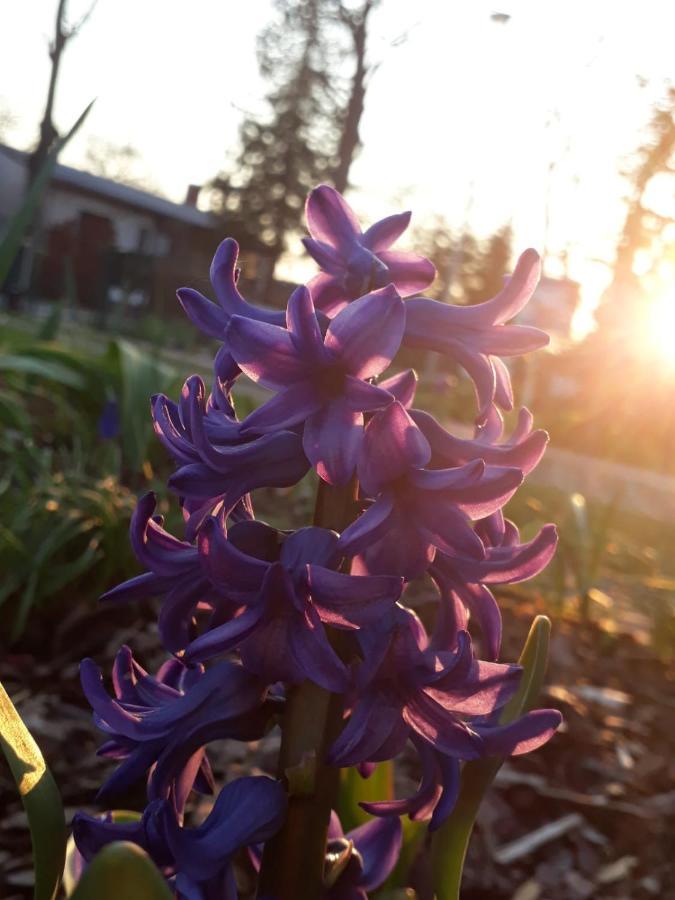 Gartenblick 特雷宾 外观 照片